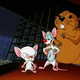 Illustration for article titled Every Single Pinky and the Brain Plan to Take Over the World, Ranked
